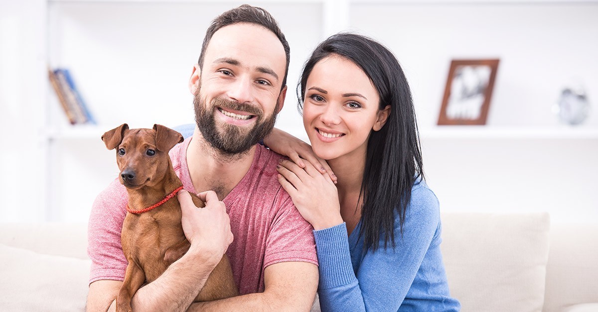 Aprende a crear un espacio propio para los peluditos de la familia